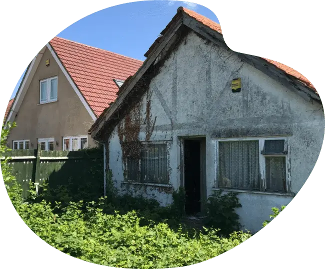Old, overgrown house with peeling paint beside a newer, well-maintained house.